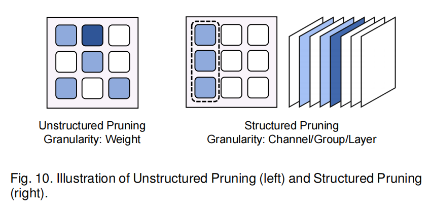 pruning